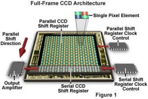 CCD Array