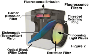 Dichroic Mirror Filter Block