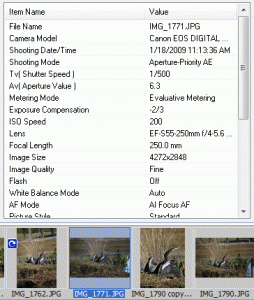 EXIF Data