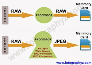 JPEG vs RAW[1]