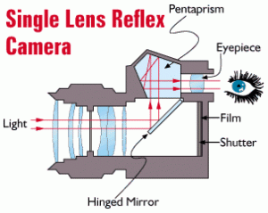 SLR Single Lens Reflex Camera