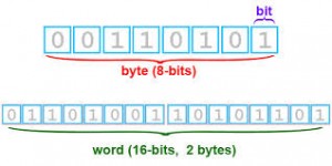 Word - 16 Bits = 2 Bytes